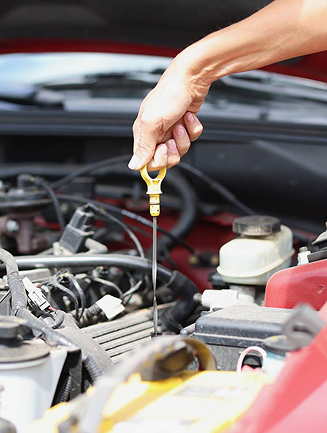 Oil Filter Changed