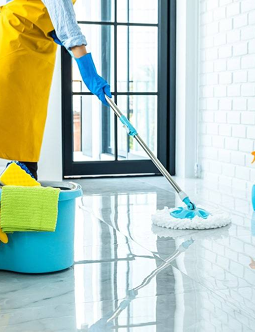 Full Home Cleaning